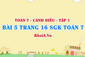 Bài 5 trang 16 SGK Toán 7 tập 1 Cánh Diều
